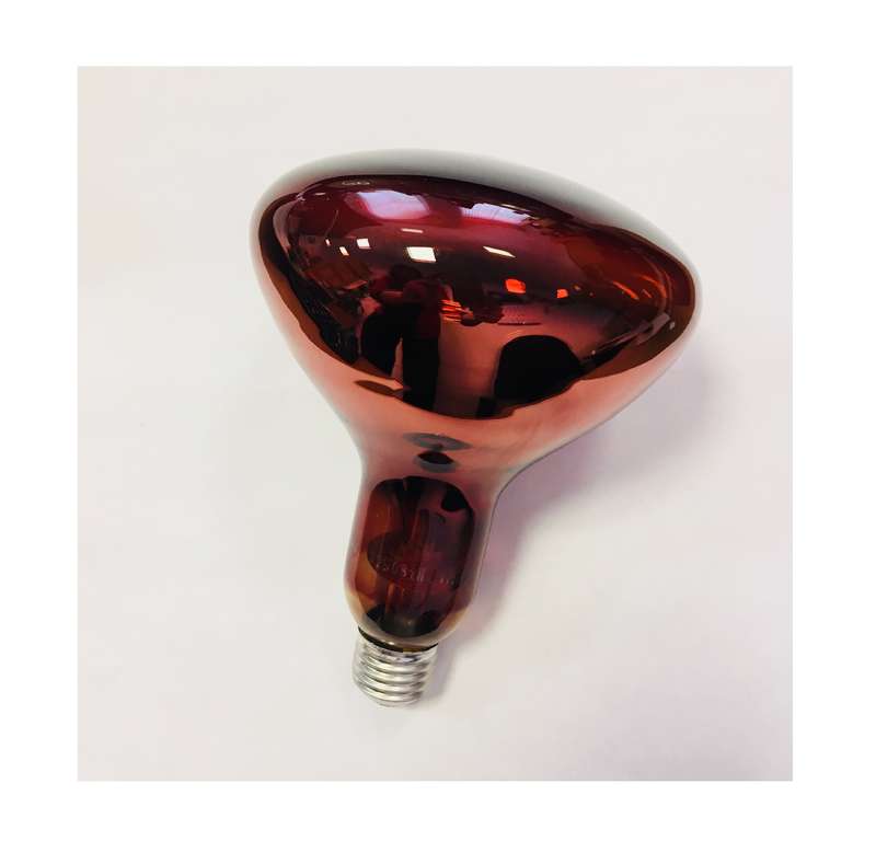 Рекомендуем купить Лампа-термоизлучатель ИКЗК 220-250Вт R127 E27 (15) КЭЛЗ 8105005