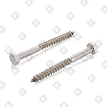 DIN 571 A4 10X80 - №1