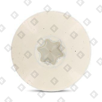 Art. 9086 A2 4,8X38 TX20  RAL 1013 - №3